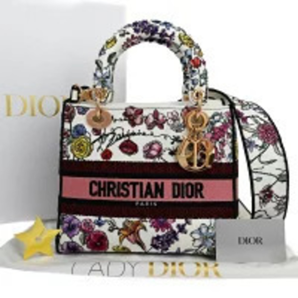 Christian Dior Lady Lite Floresio Embroide red Shoulder Handbag Canvas Leather